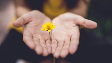 Discover the Healing Power Hidden in Any Shocking Moment of Life