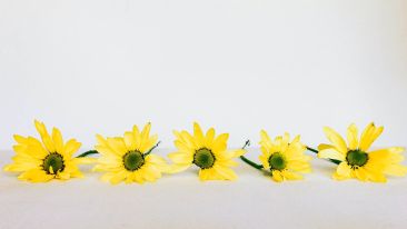 Cultivate the 5 Conditions of Complete Self-Renewal