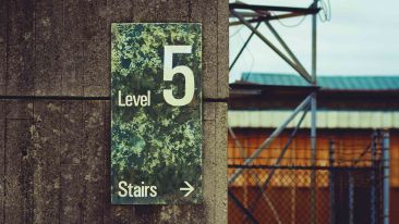 The Five Stages Leading to Self Liberation