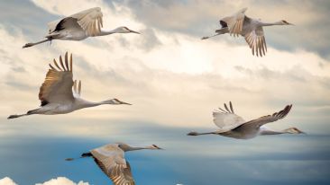 5 Heavenly Friends to Help You Reach New Spiritual Heights