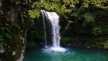 Drink from the Fountain of Truth and Discover Endless Youth