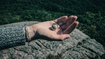 Discover the Unimaginable Source of Divine Strength