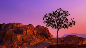 What Is True Reconciliation?