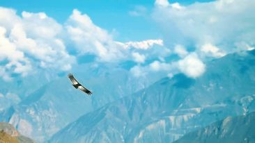 Find Personal Freedom in the Principles of Invisible Justice