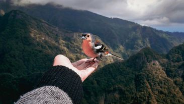 The Secret of Letting Go: How to Drop Fear, Worries, and Painful Regrets