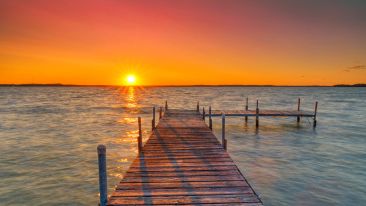 Here's the First Step that Leads to Freedom from Useless Suffering