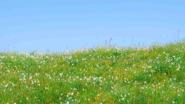 A New Active Kind Of Prayer