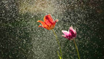 Transform the Fear of Feeling Empty into Freedom from Fear