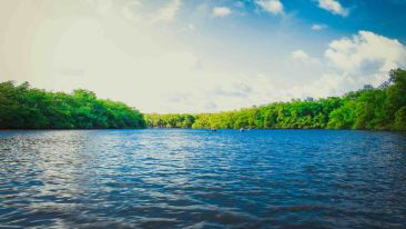 How to Put Your Life in Perfect Order Once and for All