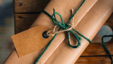 A New Relationship With a Different Order of Life