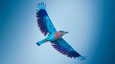 A Fresh Start at Experiencing a Balanced Life