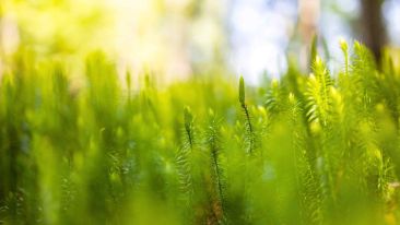 End the Self-Created Sorrow of Feeling Isolated from Life