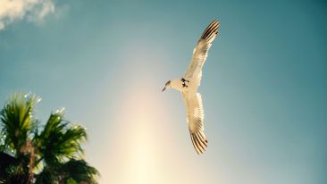 The Wisdom to Make Painful Moments Vanish into Thin Air