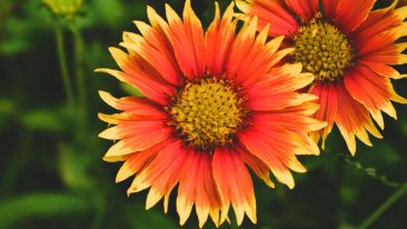 How Your Desire for Approval Keeps You Imprisoned
