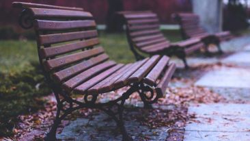 Transform Your Fear of Feeling 