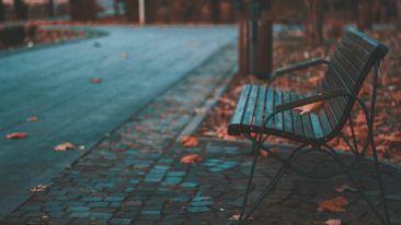 Discover the End to Feeling Empty