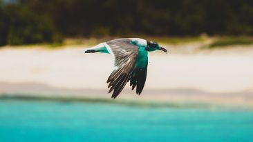 Release Yourself from the Unseen Source of All Painful Self-Limitation