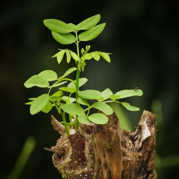 Breaking Through the Fear Barrier