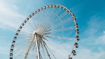 Practice These 3 Words and Break the Circle of Conflict