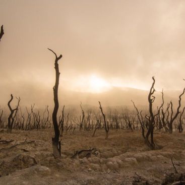 Exposed: The Evolution of Evil: Your Right to Live in the Light