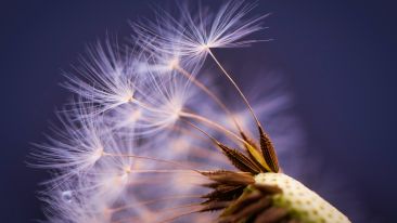 How Do I Let Go of Trying to Control Everything?