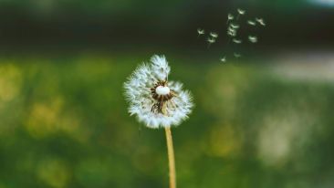 Life Is Beginning Again Everywhere Around Us