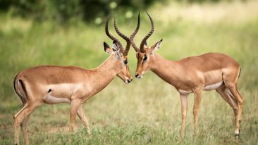 When You Enable Others You Breed Conflict in Yourself