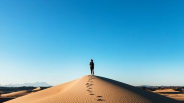 Use Your Struggle with Life to Liberate Yourself from Yourself