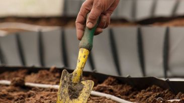 Stop Blaming and Start Digging