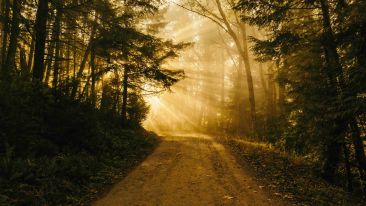 The Path and the Power of Divine Discernment