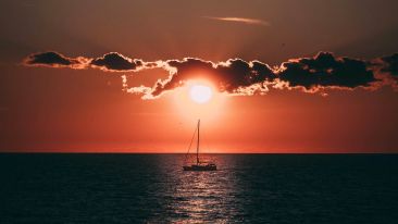 Insights into Awakening the 