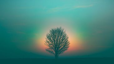 Answer the Divine 