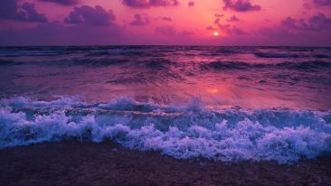 Learn To Go Beyond Yourself and Win a Glimpse of True Self