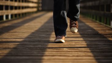 Take the First Step and Then Take It Again