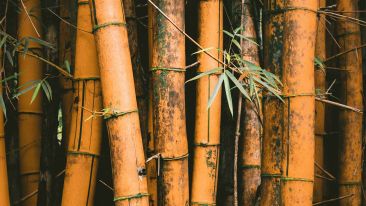 The Invaluable Meditation Practice of Being Consciously Uncomfortable