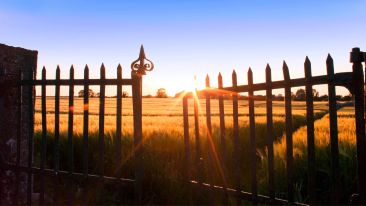 What We Must Learn To Do In Unwanted Moments
