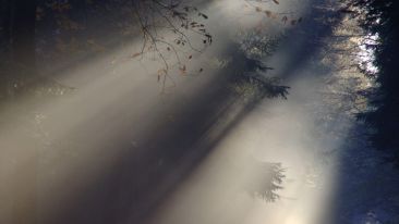 Stand in the Light That Fears No Darkness (Blog)