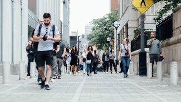 And the Blind Shall Lead the Blind... (Blog)