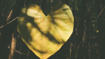 For Love to Last... (Blog)