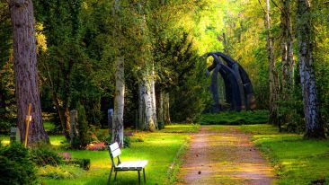 Without Emptiness Can Nothing Be Filled (Blog)