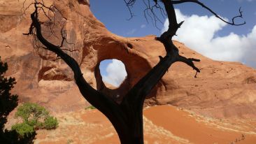 The Secret of Soul-Remembering (Blog)