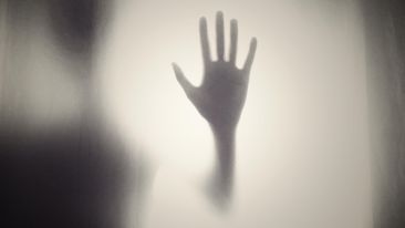 The Death of Appreciation (Blog)