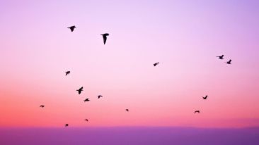 The Unexpected Peace of Nothingness (Blog)