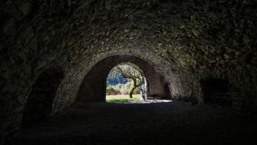 The One Secret the Whole World Does Not Want You to Know (Blog)