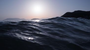 Stay Out of The Waves of Fear (Blog)