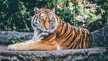 The Truth About Self-Respect (Blog)