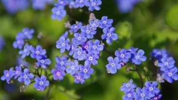 Freedom, Forgetfulness, and Remembering Yourself (Blog)