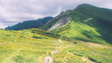 The One Path to the True Timeless Life (Blog)