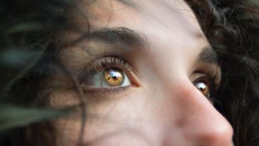 Tend To Your Own Vision (Blog)
