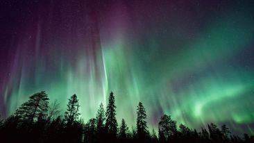 The Path to Illumination Through the Discrimination of True Self: The First Shall Be Made Last and the Last First (Blog)